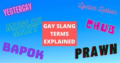 lgbt 4chan|LGBT slang .